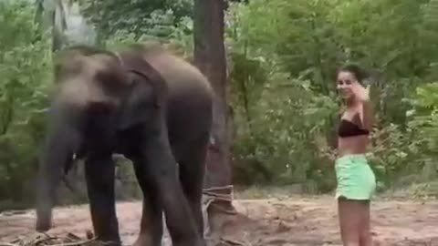 Shocking Encounter: Woman Narrowly Escapes Elephant Attack!