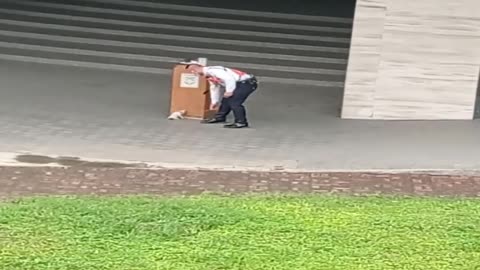 Playful Kitten Destresses Security Guard