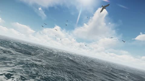 4k Atmospheric Ocean Seagull Flight Background Video