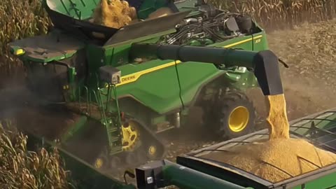 BRASIL CORN Harvest MACHINE