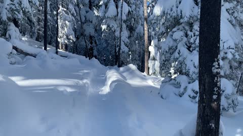 This is Beautiful – Central Oregon – Swampy Lakes Sno-Park – 4K