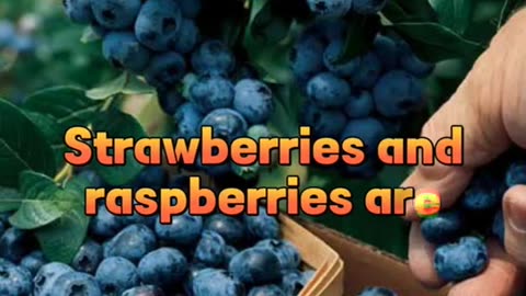 Berries: Your Tasty Path to Better Health