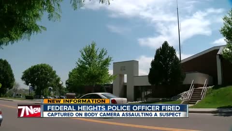 Police officer seen in excessive force video is fired