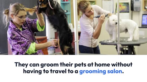 The convenience of scheduling mobile pet grooming appointments