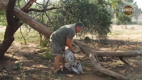 The Man Who Cuddles Lions | BEAST BUDDIES