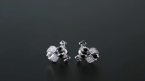 Stunning Schnauzer Face Silver Earrings