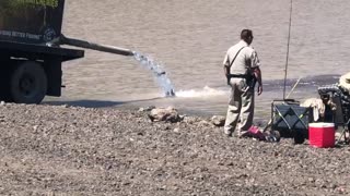 Fish Stocking in Kaibab Lake, Williams AZ