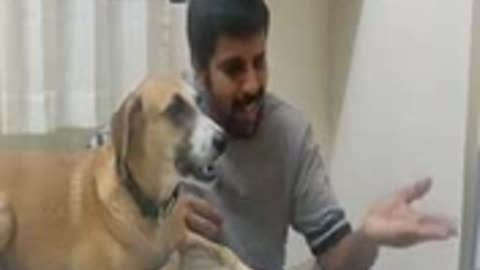 funny cute dog singing picth to picth with owner MOST WACTH