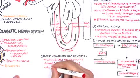 Chronic Kidney Disease (CKD) Pathophysiology (The Kidney Disease Solution)