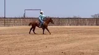 Raising Stock Horses