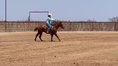 Raising Stock Horses