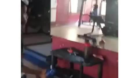 8 years old , boxer practice