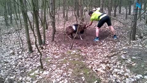 Real life Heroes!! People Saving Animal Lives