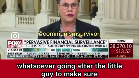 Rep Harriet Hageman | IRS Using AI To Spy On Americans (Check Description)