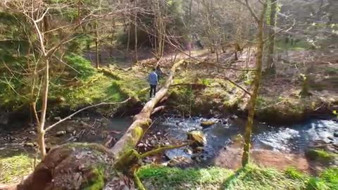 Fairy 🧚‍♀️Forest Walk👣 Family Holiday Highlands 🏞Scotland Sea Store/ Las Elfów Szkocja 04.2019