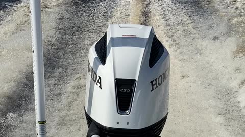 Honda Outboards are the Champ!