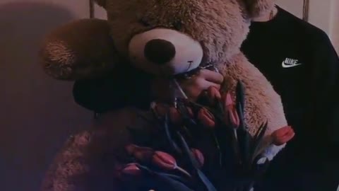 Teddy bear whatsapp status ! Velentine day special status WhatsApp