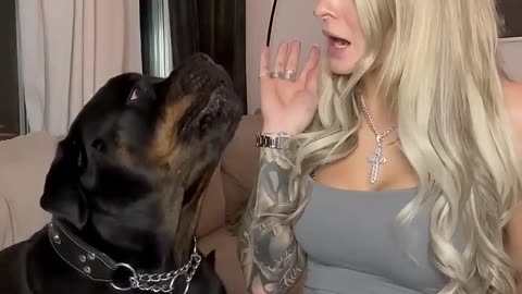 Pet Friendship Video