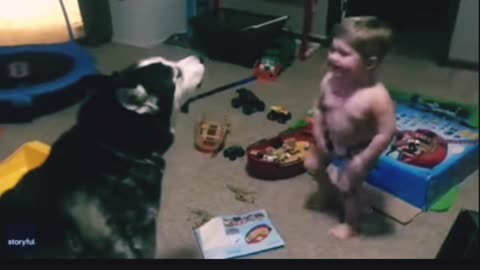 Baby make fun with dog