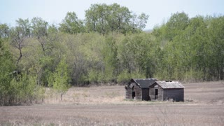 Prairie Landscapes