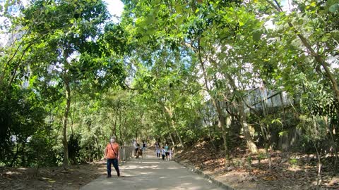 Hiking downhill to Kornhill, Eastern District