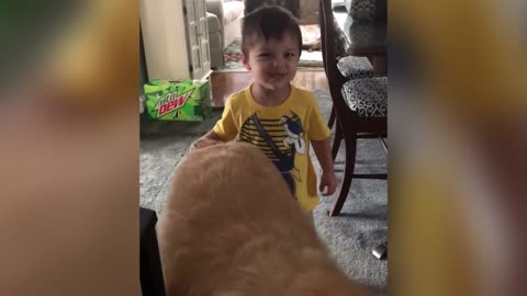 Funny Kids & Pets & other Critters