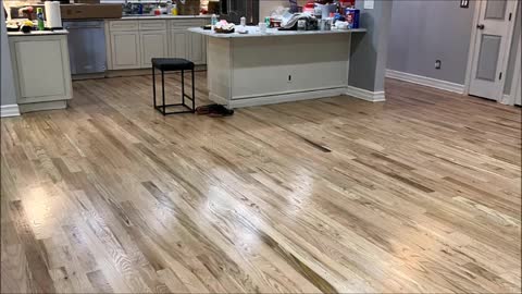 Kikfloors - (332) 263-9924