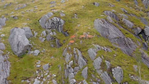 Scotland 4K - Scenic Relaxation Film With Calming Music