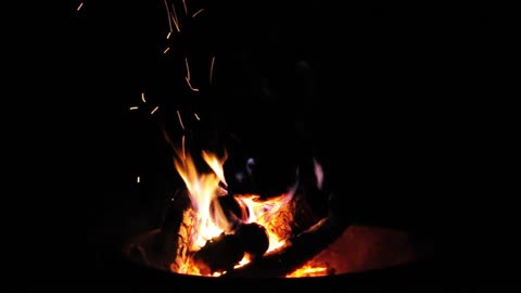 Fire Crackling at Night with Relaxing Nature Sound