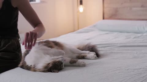 Woman resting and relaxing with her cat