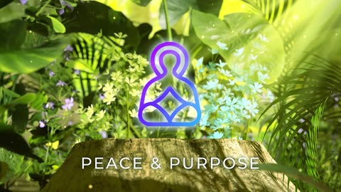 Peace & Purpose - Path to Purpose