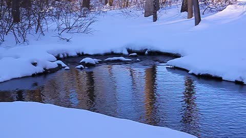 DEEP SNOW STREAM FEB 21 2021 MVI_9161