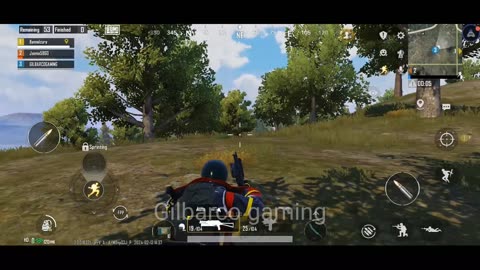 pubg surviver game