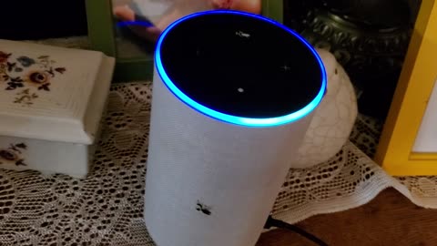 Alexa is a democrat.