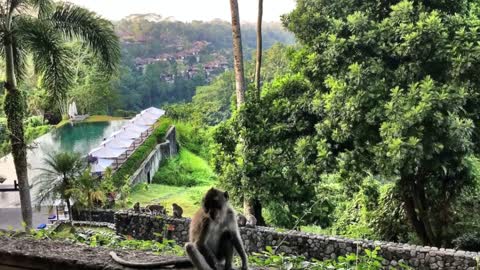 Dream Resort in Bali - Alila Ubud hotel in Bali Indonesia