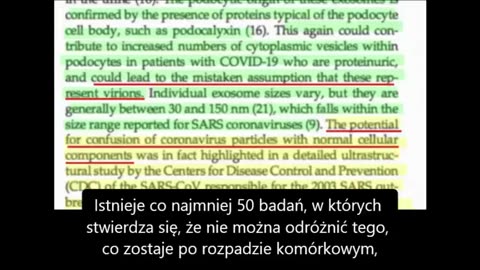 Wirus urojony 2/4