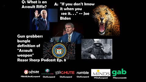 #Gun grabbers bungle definition of "Assault weapon" -- Razor Sharp Podcast Ep. 8