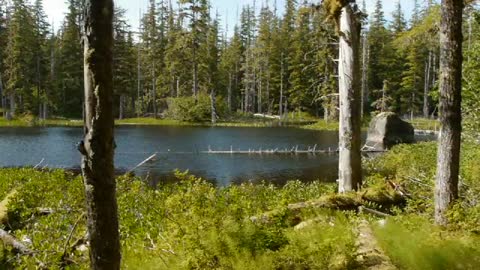 At Home in The Wilderness - Backcountry Orientation - Glacier Bay National Park