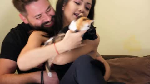 Couple in the living room relaxing and playing with their cats