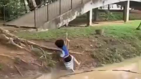 Funny videos