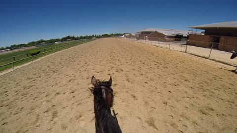 1st lap Canter for the Cause 2018 Pemlico Track