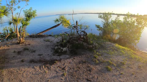 the Revealing ch. 3 Surf's House off grid Island called Isla Di Paradiso