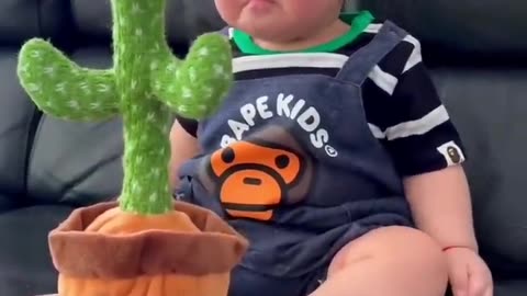 Baby playing with cactus