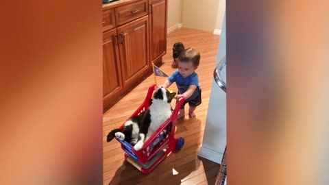 funny baby with cute animal 2