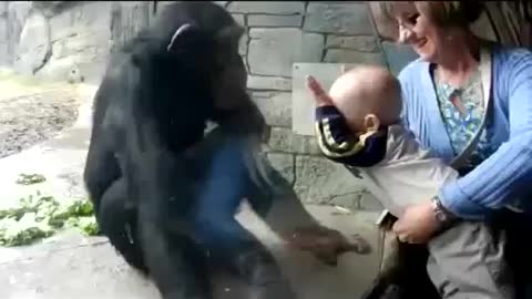 A little monkey plays with a child 🐒👶