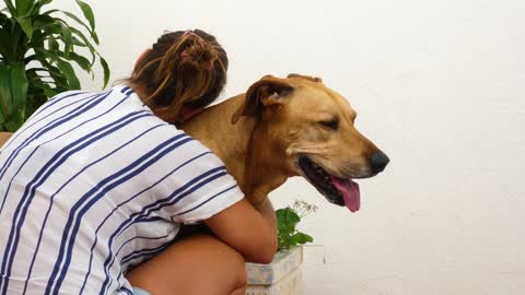 Woman hugging a dog