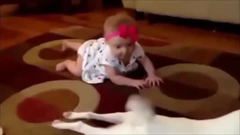 Dog play with little kids