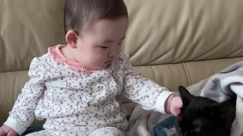 Baby annoying cat.