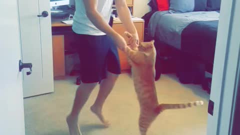 Man in room dancing with orange cat