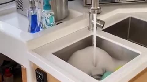 SV Imagine Sink Installation